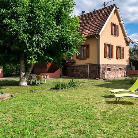 La Maison De Vacances De Colmar Et Son Jardin Экстерьер фото