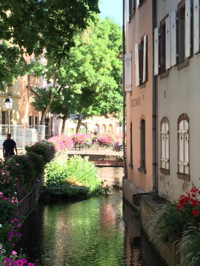 La Maison De Vacances De Colmar Et Son Jardin Экстерьер фото