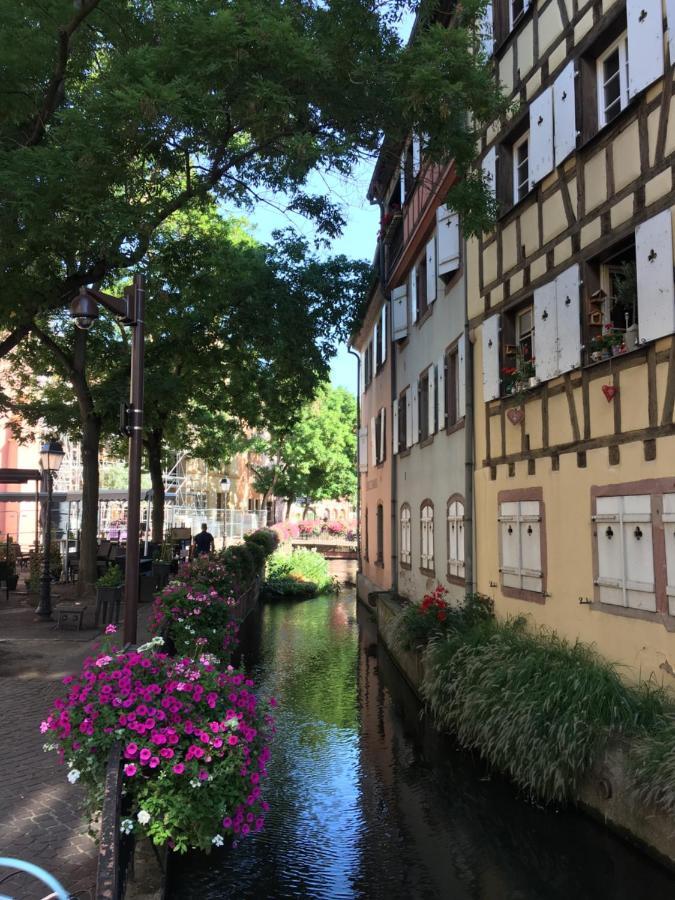 La Maison De Vacances De Colmar Et Son Jardin Экстерьер фото