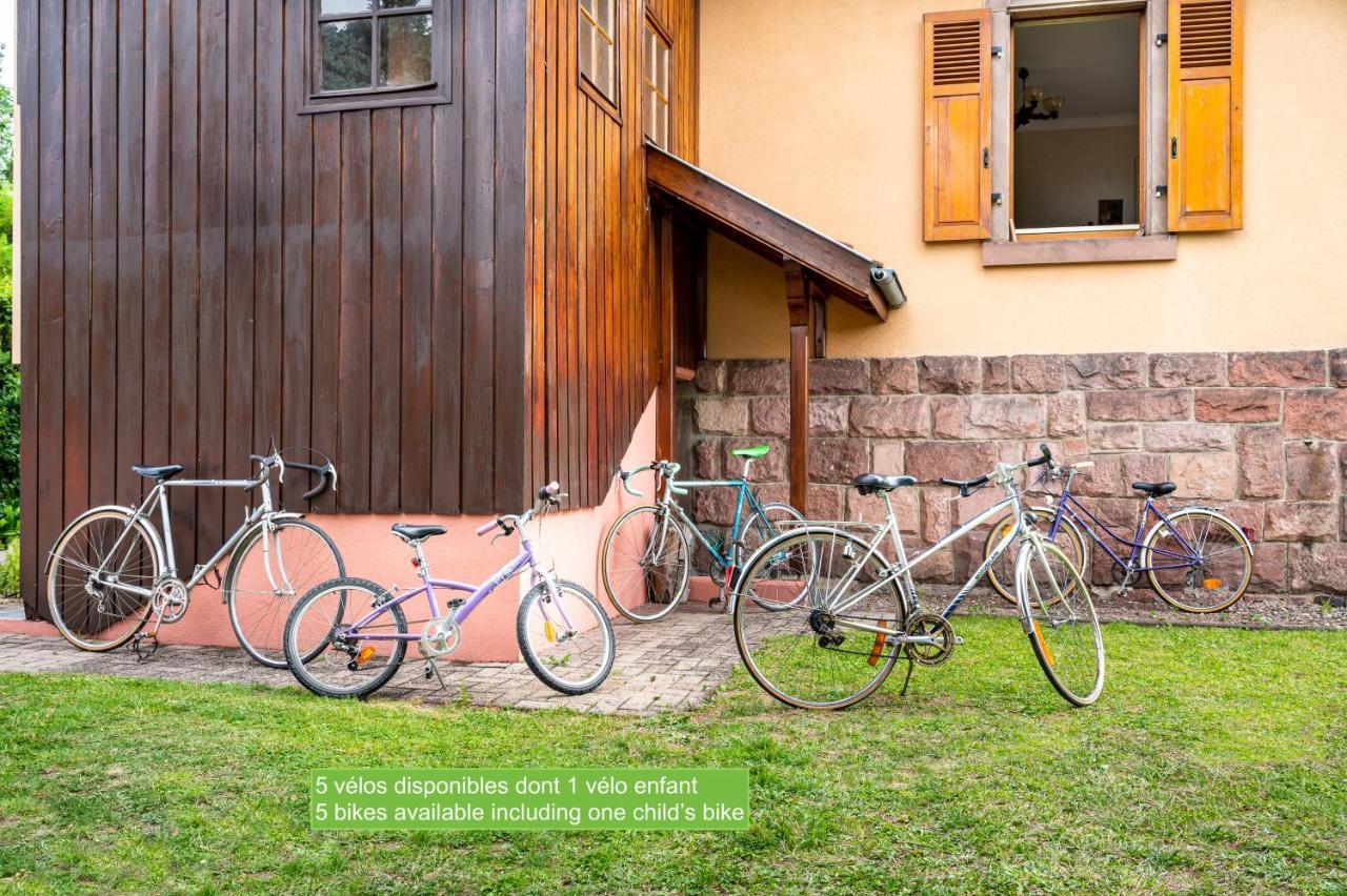 La Maison De Vacances De Colmar Et Son Jardin Экстерьер фото